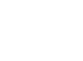 DCGI Permission Certificate
