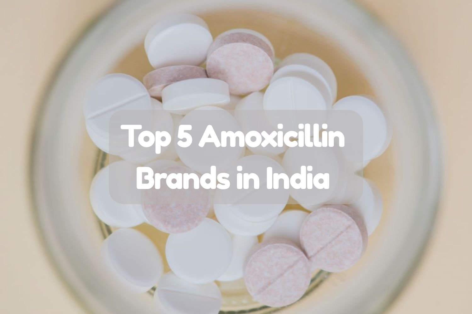 Top 5 Amoxicillin Brands in India